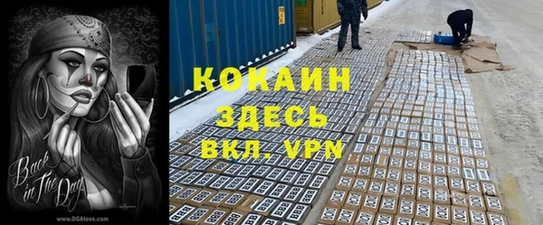 спиды Ладушкин