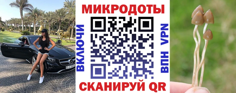 Псилоцибиновые грибы GOLDEN TEACHER  закладка  Екатеринбург 