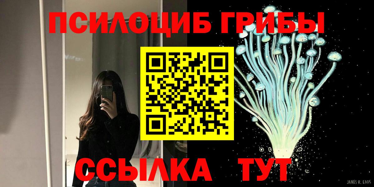 Псилоцибиновые грибы мицелий  купить закладку  Галлюциногенные грибы Psilocybe  Екатеринбург 