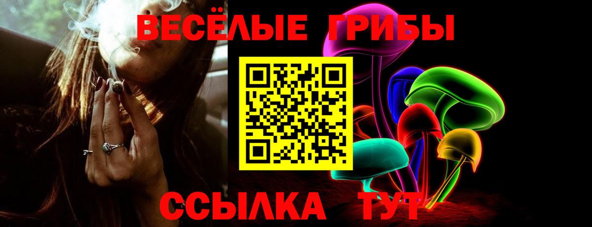 Екатеринбург  что такое наркотик  Галлюциногенные грибы прущие грибы  Вход с VPN  Галлюциногенные грибы Cubensis 
