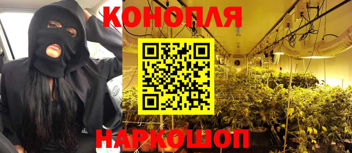 Бошки Шишки ГИДРОПОН  Екатеринбург  Канабис Ganja  Каннабис Ganja 